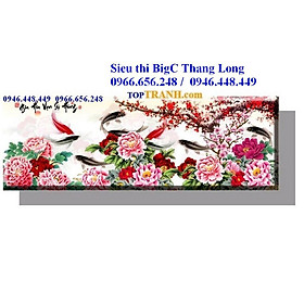 Mua tranh thêu chữ thập Gia hòa vạn sự hưng 223041 cá chép và hoa mẫu đơn  cửu ngư quần hội  chưa thêu