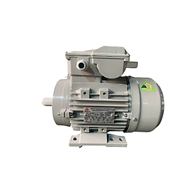 Mua Động cơ điện Enertech 1 pha ESS 0.37kW 4P B3 - Hàng chính hãng