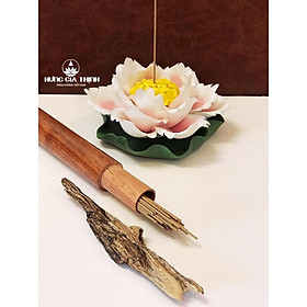 Mua Đế Sen Cắm Trầm Không Tăm