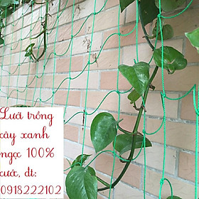 Mua Lưới trồng cây (dây leo giàn) cước màu xanh ngọc cao cấp