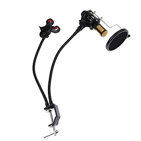 Durable Condenser Microphone Microphone Double Clip for Singing Recording