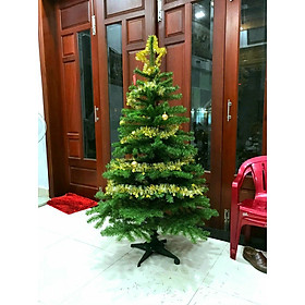 Mua Cây thông noel 1m8 tặng 1 ngôi sao đỉnh và 3 dây kim tuyến tán rộng dày đẹp trang trí giáng sinh ảnh thật tự chụp