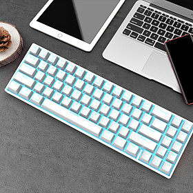 Bàn Phím Cơ Không Dây RK71 Chính Hãng Royal Kludge - 71 Phím. Màu Trắng Led Xanh Dương. Nhỏ gọn. Dễ Mang Theo. Đủ Loại Switch.