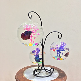 Bể cá mini tam trụ 28