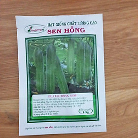 Mua Hạt giống dưa leo bóng SH80 Sen Hồng 10g