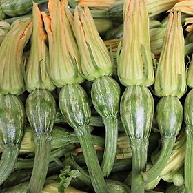 Mua HẠT GIỐNG BÍ SIÊU NỤ - BÍ ĂN NỤ TÚI 10gr