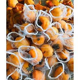 Mua 100 CHIẾC TÚI LỌC RÁC CHỐNG TẮC NGHẼN BỒN rửa bát - túi phơi hồng trong gió 0033