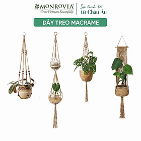 Mua Combo 4 dây treo chậu cây Macrame MONROVIA  trang trí trong nhà  sân vườn  đan thủ công tỉ mỉ  Tiêu chuẩn Châu Âu