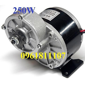 Motor giảm tốc 12V 250w có chổi than