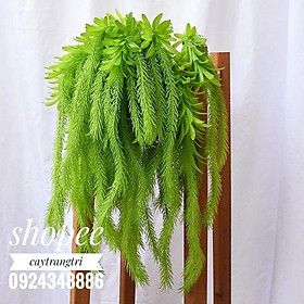 Cụm Rủ Đuôi Chồn Trang Trí dài 45cm 5 nhánh