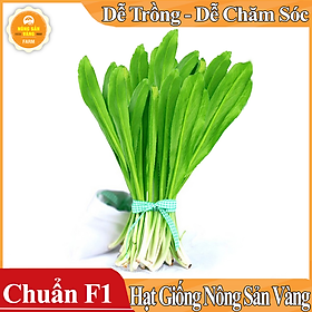 Hạt giống Rau Mùi Tàu , Ngò Gai ( Gói 5 Gram ) - Nông Sản Vàng