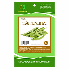 Combo 2 gói Hạt giống Đậu trạch Golden Seeds 40 Gr