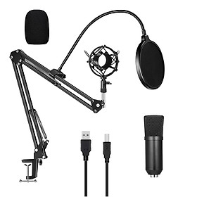 USB 192kHZ/24bit Podcast Recording Microphone Kit Professional Condenser Studio Broadcasting MIC with Stand Plug & Play