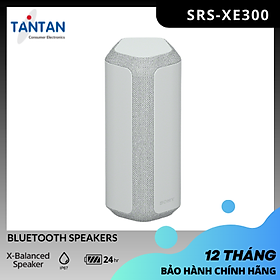 Mua Loa Bluetooth Sony - SRS-XE300 | Hàng Chính Hãng