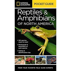 Nơi bán National Geographic Pocket Guide to Reptiles and - Giá Từ -1đ