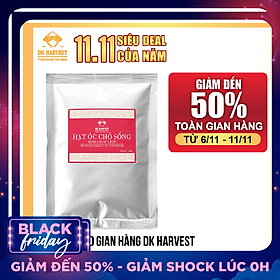 Nhân Hạt Óc Chó Sống DK Harvest Dùng làm Sữa 1000g