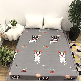 Ga chống thấm cotton - Mèo Chi - Tặng kèm 1 móc khóa Houston