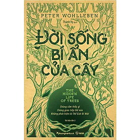 Sách Đời Sống Bí Ẩn Của Cây (Tái bản năm 2024)