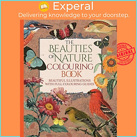 Sách - The Beauties of Nature Colouring Book by Tansy Willow (UK edition, paperback)