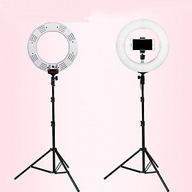 Mua Bộ gậy đèn livestream 35 cm