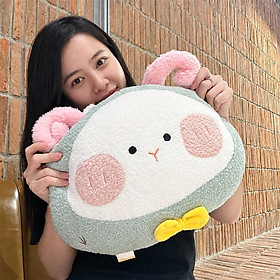Gối Tựa Lưng Văn Phòng Kèm Chăn 3 Trong 1 Cừu Xanh Mint Cao Cấp, Dùng Để Ngủ Tại Văn Phòng, Đi Du Lịch Hoặc Quà Tặng Cho Người Thân