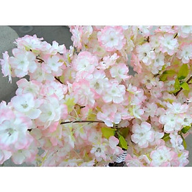 Mua Hoa đào giả - Hoa đào thân nâu