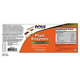 Viên Uống Now Plant Enzymes Với Lactase, Protease, Papain & Bromelain (120 Viên Nang Thực Vật)