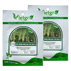 Combo 2 Gói Hạt Giống Dưa Leo Trái Dài F1 Vietgro VG15 (Gói 10 hạt)