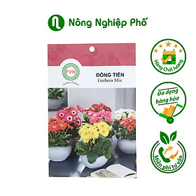 Mua Hạt giống hoa đồng tiền lùn gerbera mix FVN - 5 hạt