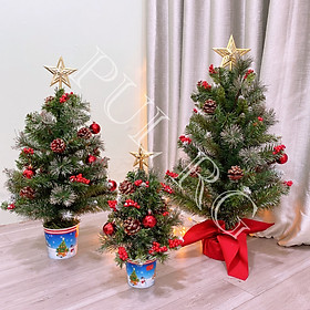 Mua Cây thông noel mini để bàn 3 LOẠI LÁ CÓ TRANG TRÍ phụ kiện