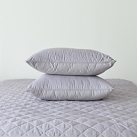 Mua Vỏ Gối ARIZE On Cloud Clara Purple Gray 50x70 Cao Cấp Chống Bụi