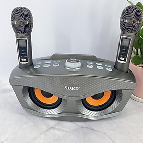 Mua Loa Bluetooth Karaoke SDRD SD306 Plus bản 2020 đa năng  Loa kèm 2 micro hát karaoke Không dây- Phiên Bản Nâng Cấp lọc