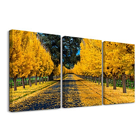 Bộ 3 tranh Canvas tràn viền