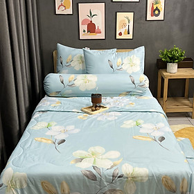 Bộ Chăn Ga Gối Đệm Phi Lụa Tencel Bộ Chăn Ga 5 Món Drap Giường