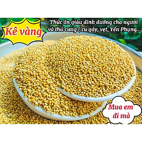 Hạt kê vàng, thức ăn cho chim cảnh, Yến Phụng, Vẹt, cu gáy, Hamster