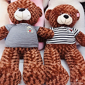 Gấu Bông Teddy Áo Xọc Giá Sốc 1m1 Ảnh Shop Chụp