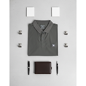 Áo Polo Nam Slim Fit 299 MÀU HR4-F104-23