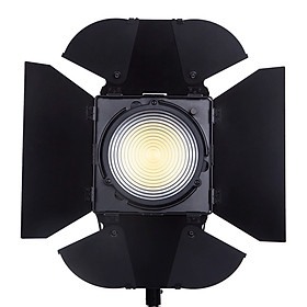 Mua Đèn Nicefoto LED Film Light MF2000 5500K 200W