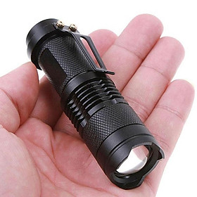 Mua Đèn Pin UV Tia Cực Tím Có Chức Năng Zoo-M Pin AA/3200  Màu Đen UV Chuyên Dụng  Đèn Soi Huỳnh Quang