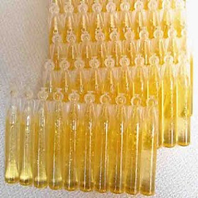 10 ống chất dẫn dụ bẫy ruồi vàng Pheromone lọ 2ml