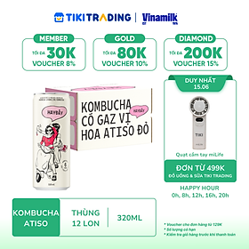 Thùng 12 lon Kombucha Có Gaz Vị Hoa Atiso Đỏ HAYĐẤY 320ml