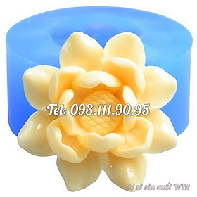 Mua Khuôn silicon làm rau câu hoa sen - Mã số 1081