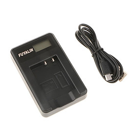 LCD Camera Battery Charger w/ USB Cable for   BCG10 DMC-  DMC-ZR3