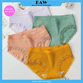 Bộ 5 Quần Lót Nữ Cotton Lót May Chống Viêm, Quần Chip Nữ Kháng Khuẩn Cao Cấp Thương Hiệu BAW NT739