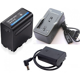 Mua Combo Pin giả/pin ảo NP-FZ100 + Pin F980D+Sạc - Hàng chính hãng
