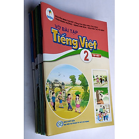 Bộ sách vở bài lớp 2 (Bộ sách Cánh Diều) 11 quyển