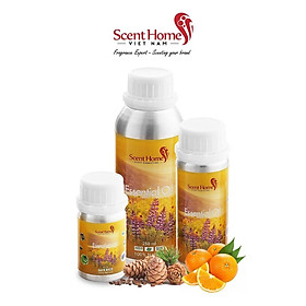 Mua Tinh dầu Scent Homes - mùi hương (Healton)