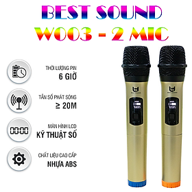 Mua MICRO KARAOKE KHÔNG DÂY MODEL V-W003 - 2 MIC BEST SOUND