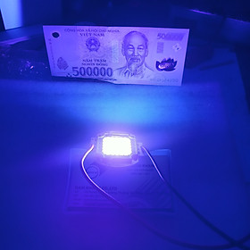 Mua CHIP LED 50W / 100W – UV395NM