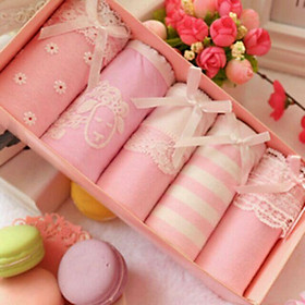 Combo hộp 5 quần lót cotton dễ thương